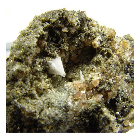 Whewellite