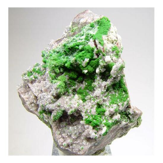 Conichalcite & Calcite