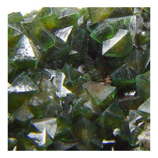 Cuprian Adamite