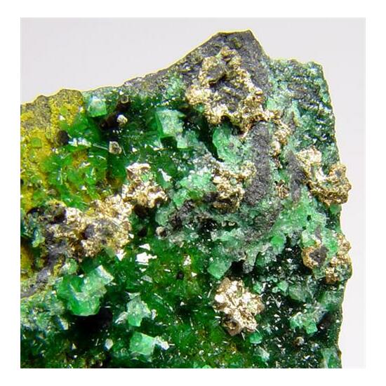 Native Silver Ferrilotharmeyerite & Cuprian Adamite