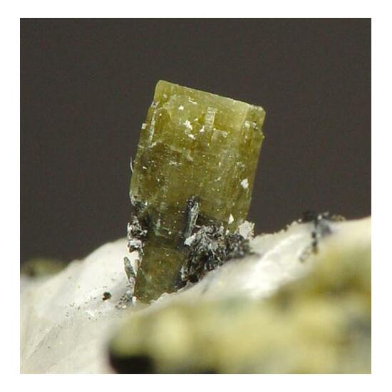 Pyrosmalite-(Fe)