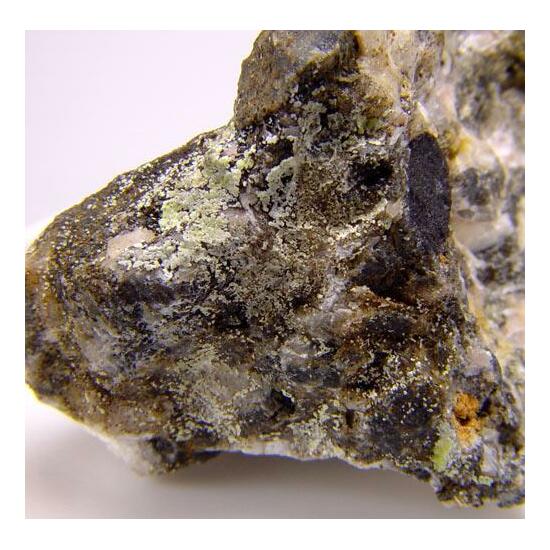 Znucalite