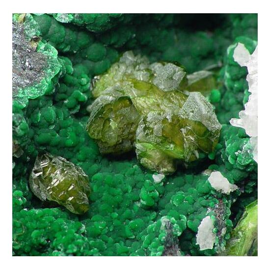 Adamite On Malachite