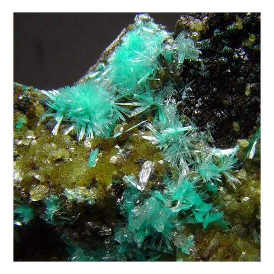 Aurichalcite & Smithsonite