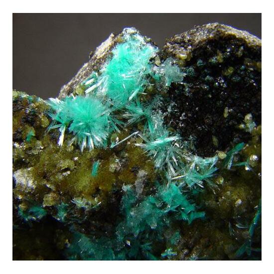 Aurichalcite & Smithsonite