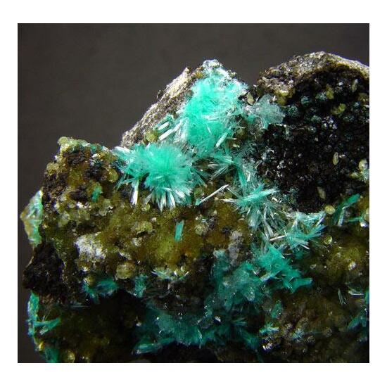 Aurichalcite & Smithsonite