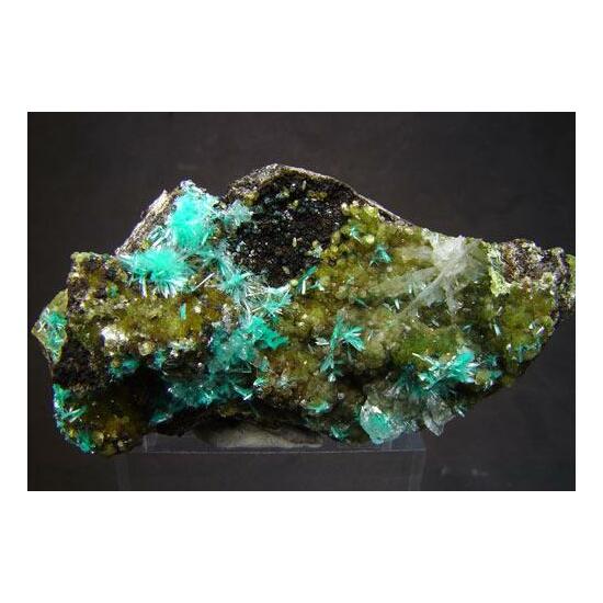 Aurichalcite & Smithsonite