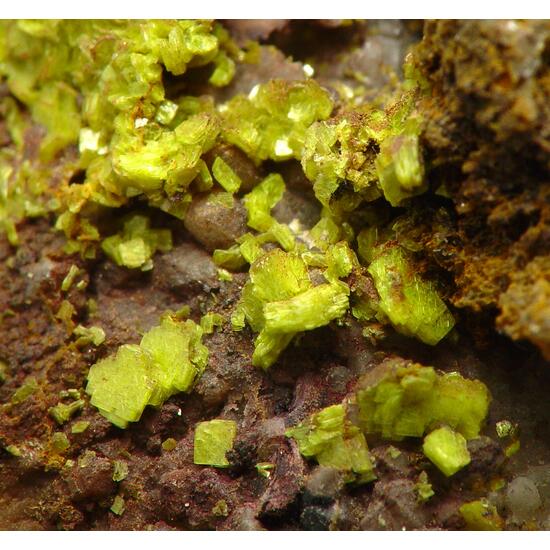 Autunite