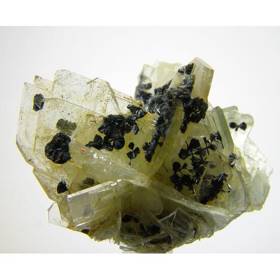 Baryte & Stibnite