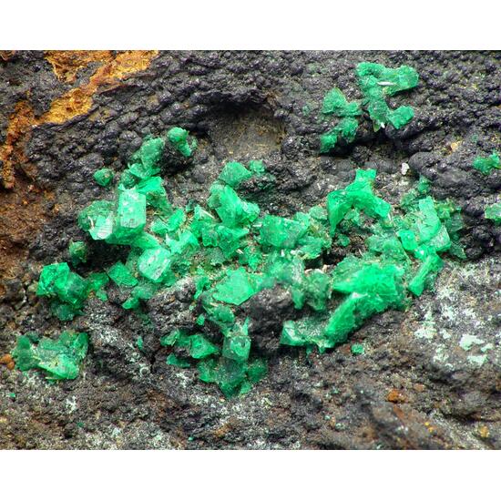 Euchroite