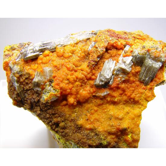 Francevillite Chervetite & Curienite