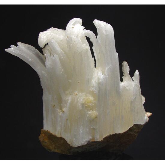 Gypsum