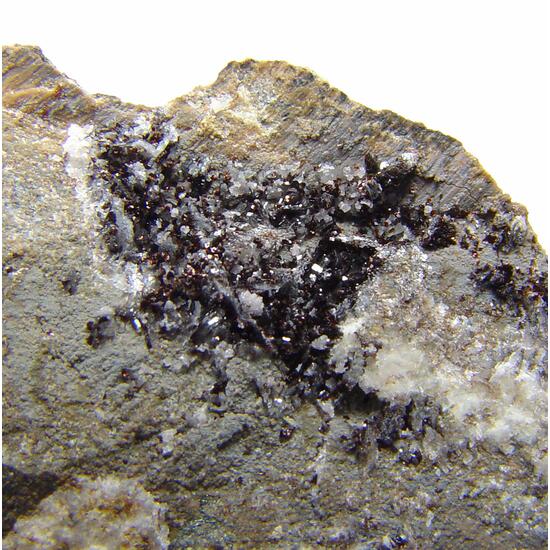 Hematolite & Synadelphite On Allactite