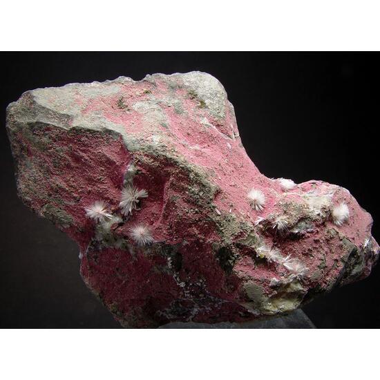 Picropharmacolite