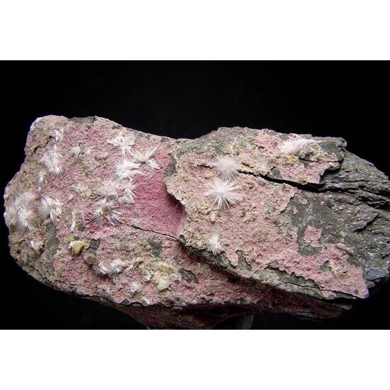 Picropharmacolite