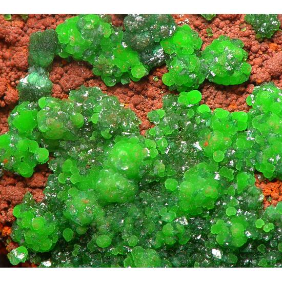 Olivenite & Conichalcite