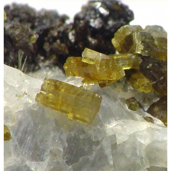 Pyrosmalite-(Fe)