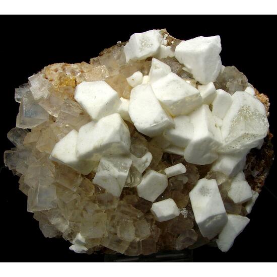 Leonite Psm Picromerite & Halite