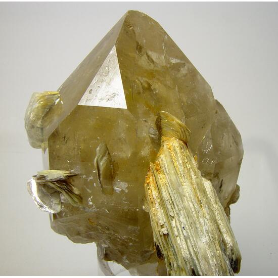 Smoky Quartz & Muscovite