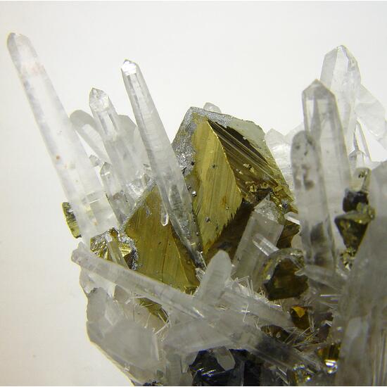 Chalcopyrite & Quartz