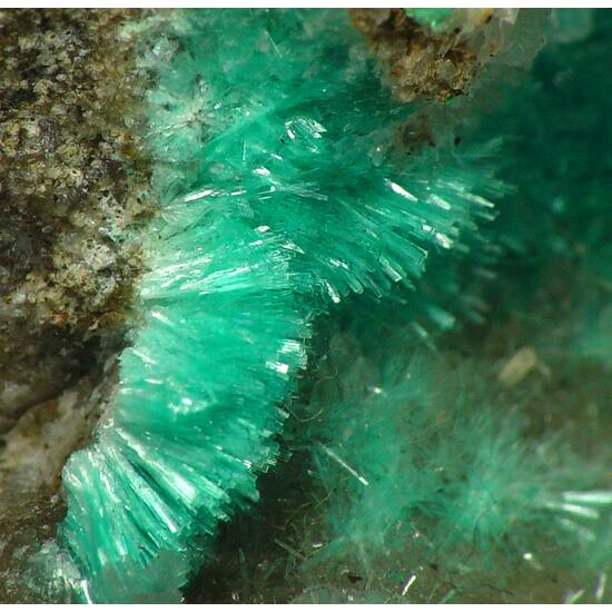 Aurichalcite