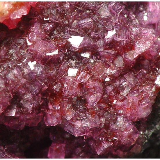 Spherocobaltite