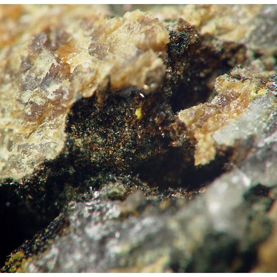 Wildenauerite