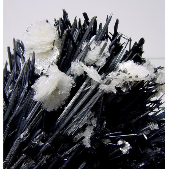 Stibnite & Baryte