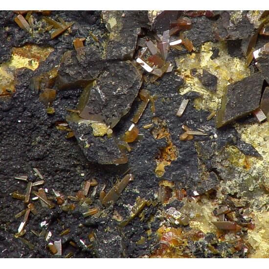 Pucherite