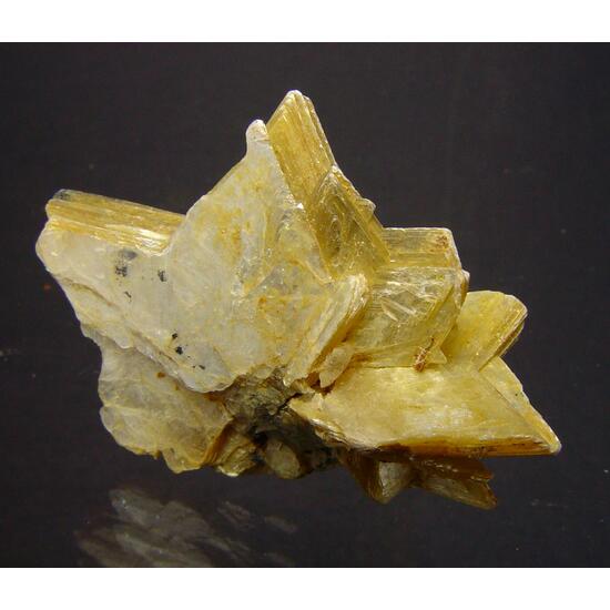 Muscovite