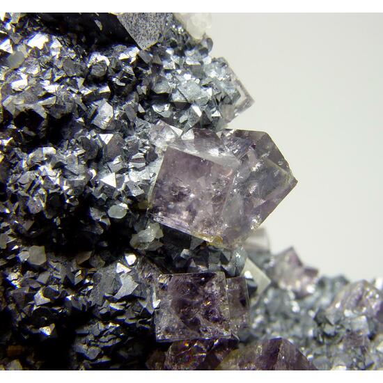 Fluorite & Galena On Quartz