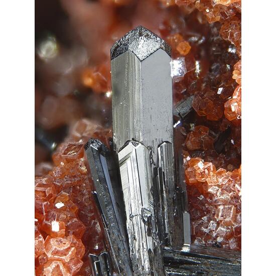 Gaudefroyite On Andradite