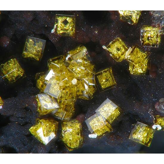 Kintoreite