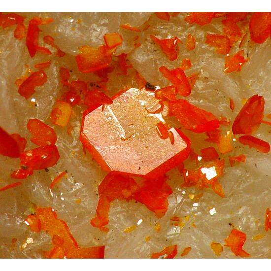 Wulfenite