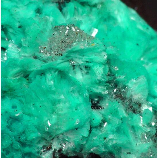 Aurichalcite