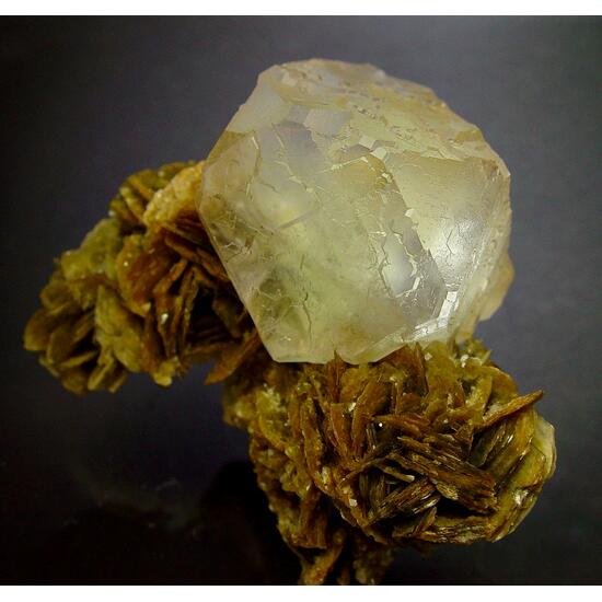 Fluorite On Muscovite