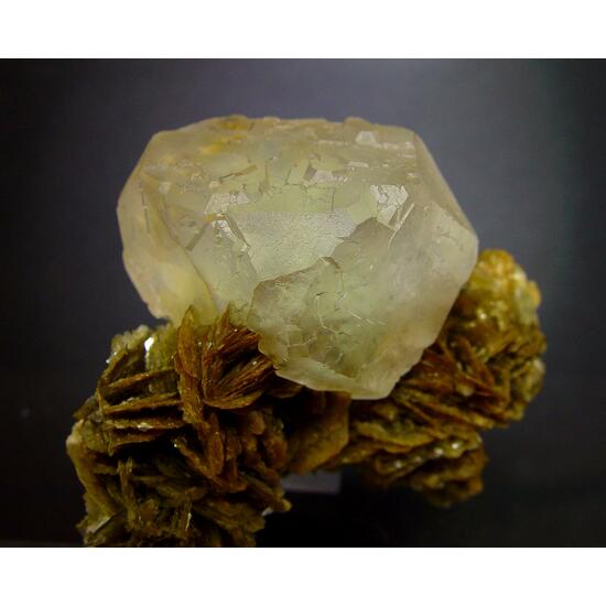 Fluorite On Muscovite