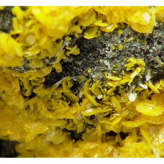 Orpiment On Arsenic