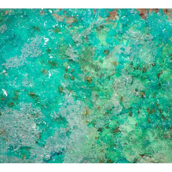 Caledonite