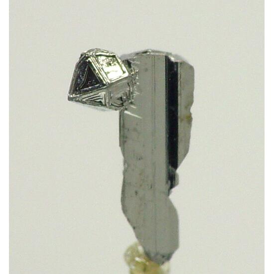 Native Tellurium On Sylvanite