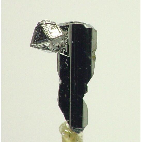 Native Tellurium On Sylvanite