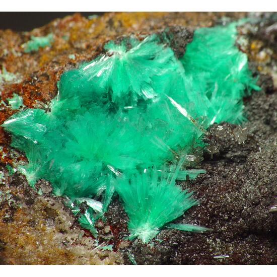 Aurichalcite