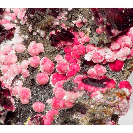 Erythrite