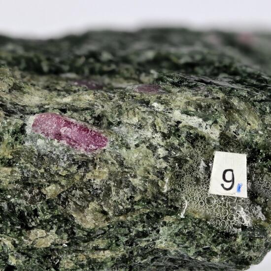 Ruby In Actinolite