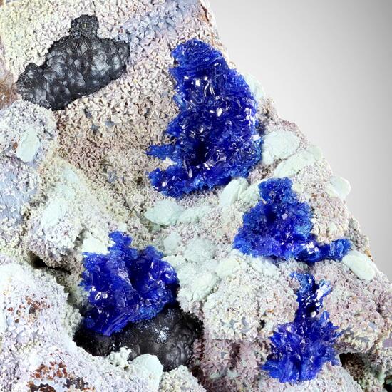 Azurite With Honessite & Agardite-(Ce)