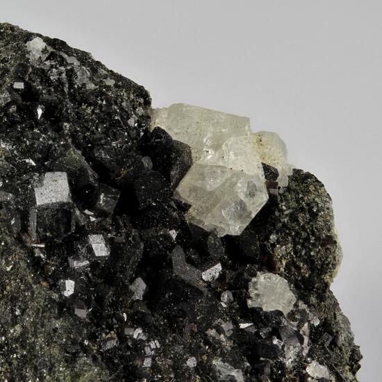 Augite