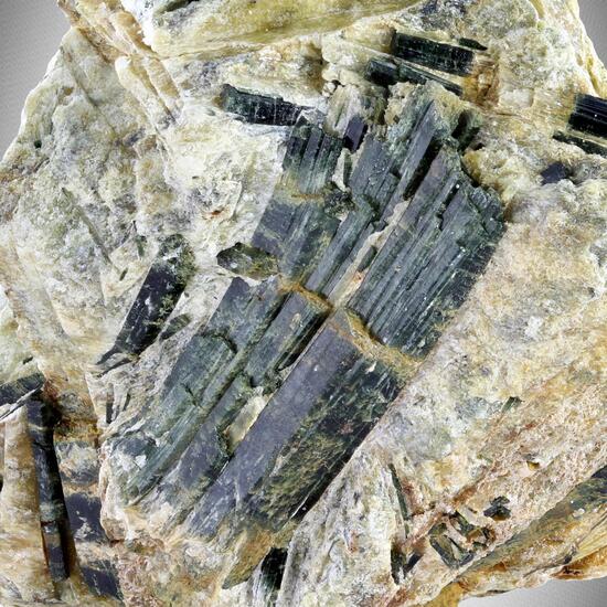 Actinolite