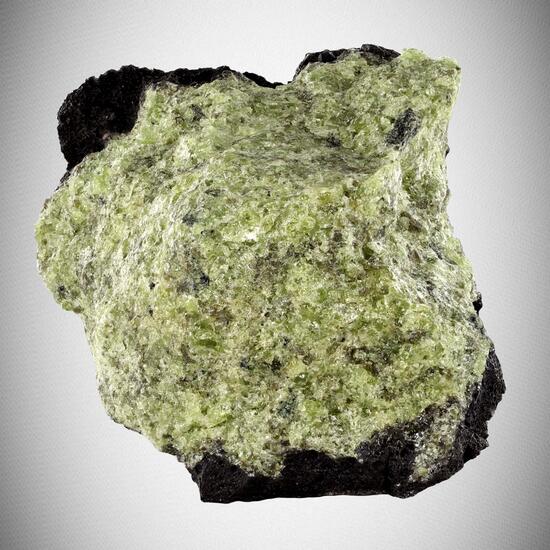 Olivine Group