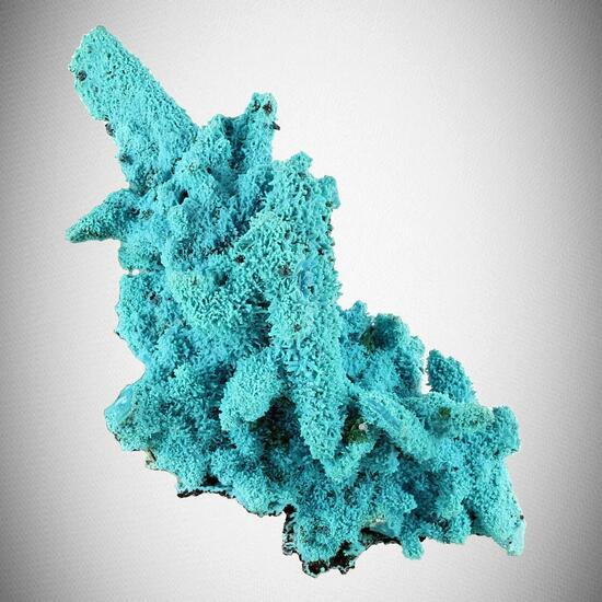 Chrysocolla Psm Plancheite