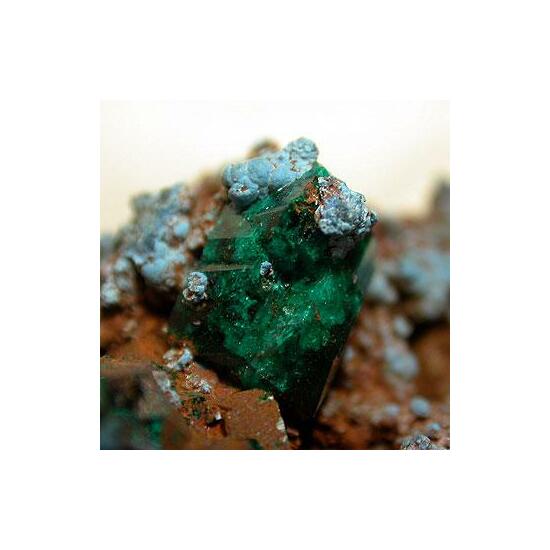 Dioptase With Shattuckite